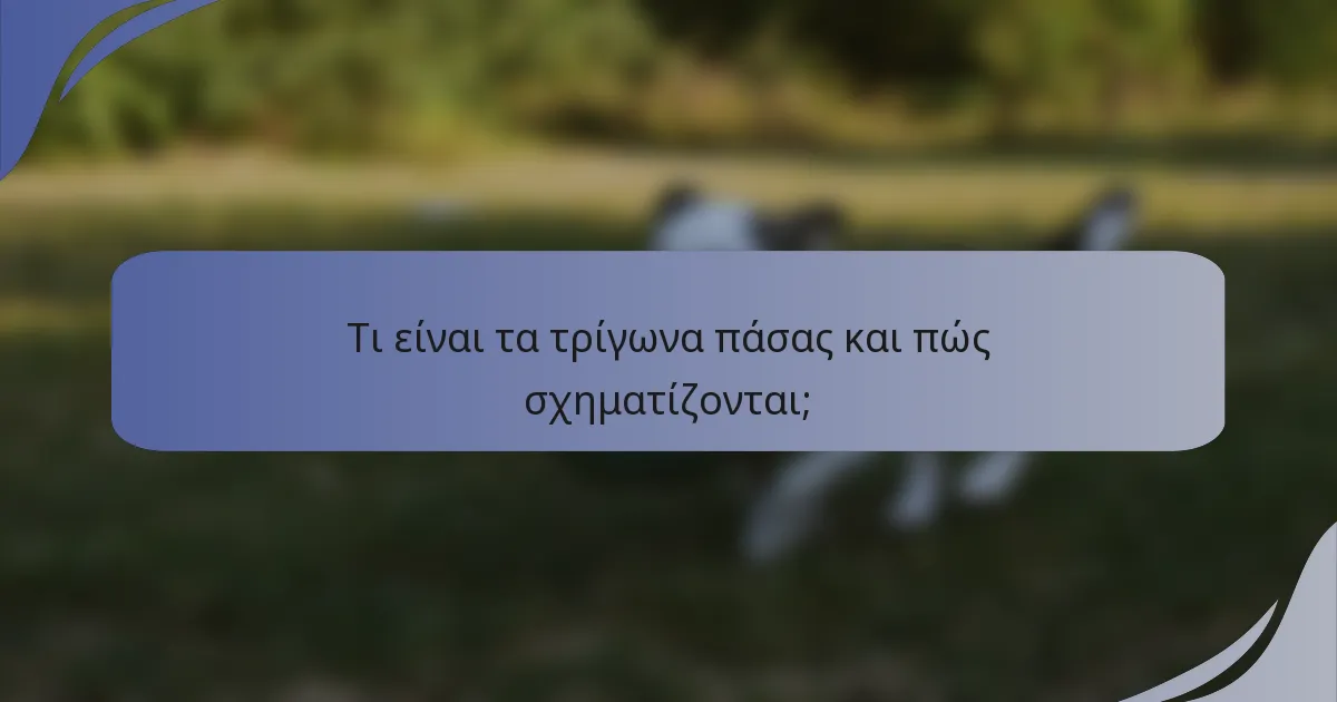 Τι είναι τα τρίγωνα πάσας και πώς σχηματίζονται;